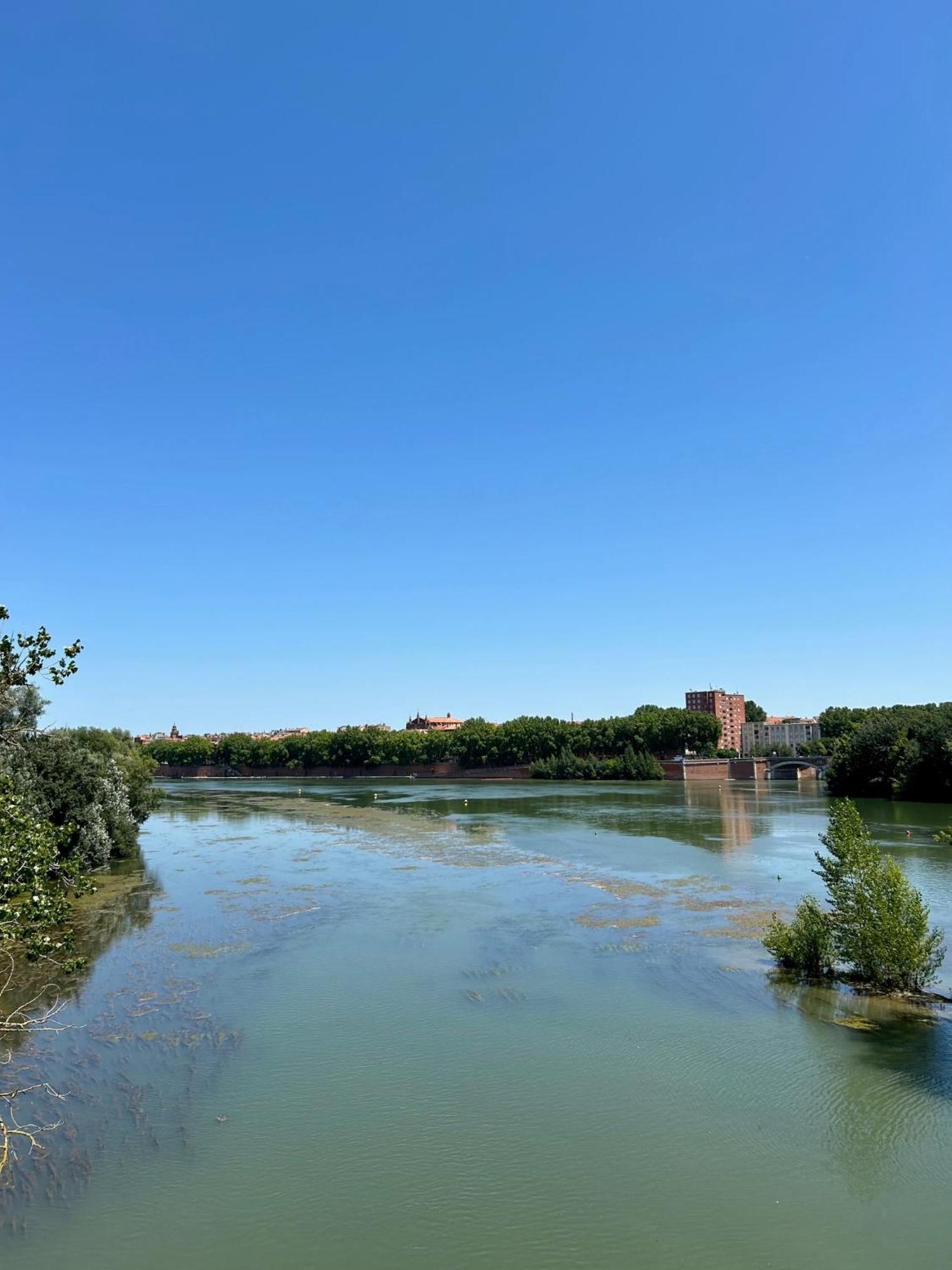 Loft Garonne - Centre Ville Immeuble Privatif ตูลูส ภายนอก รูปภาพ