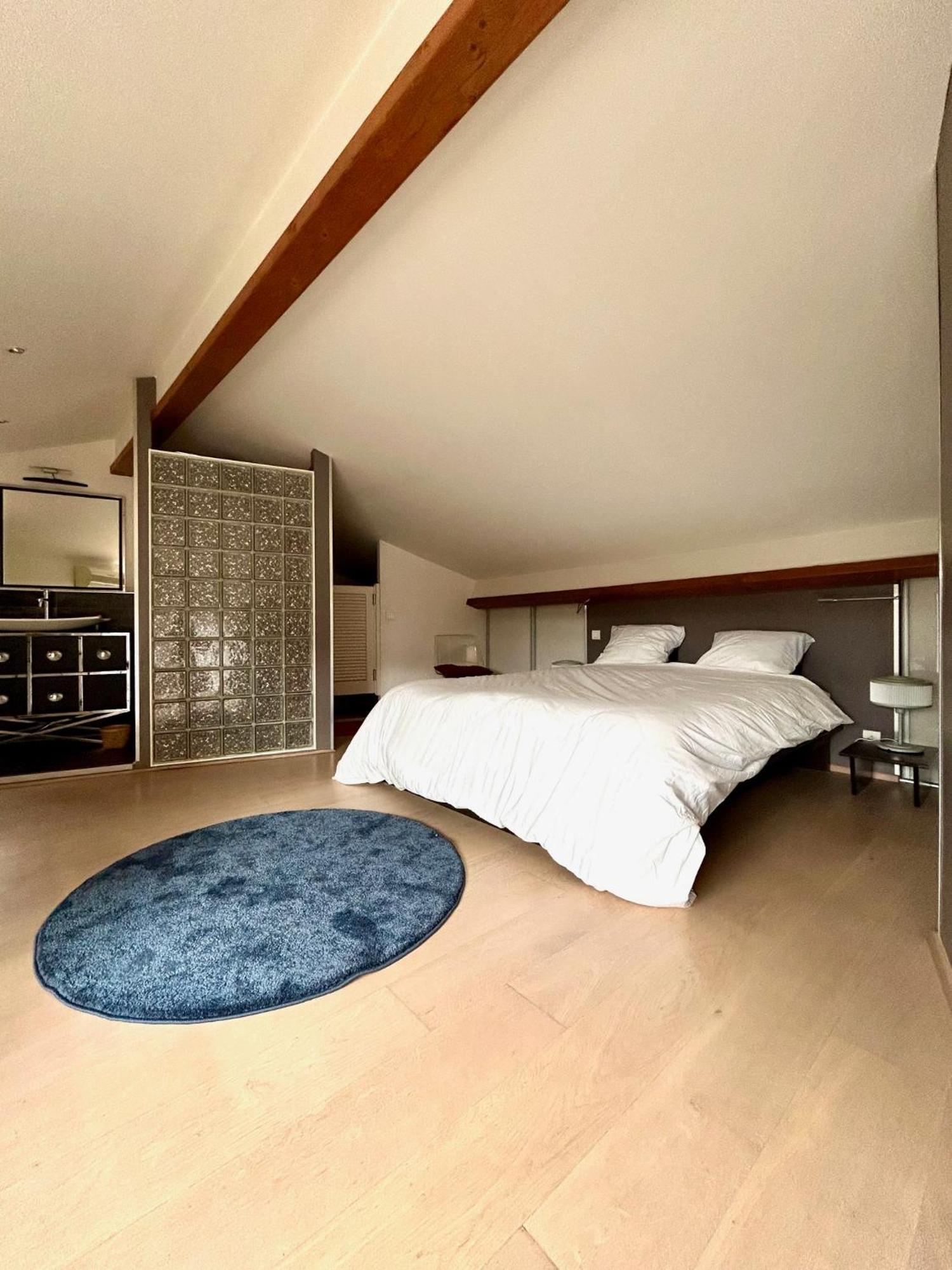Loft Garonne - Centre Ville Immeuble Privatif ตูลูส ภายนอก รูปภาพ