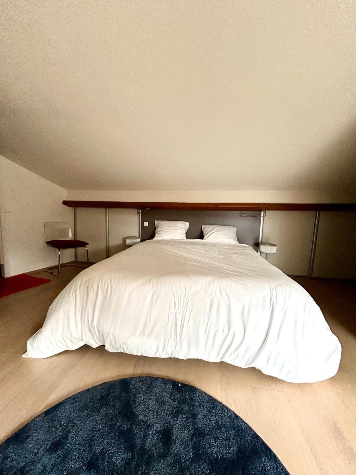 Loft Garonne - Centre Ville Immeuble Privatif ตูลูส ภายนอก รูปภาพ