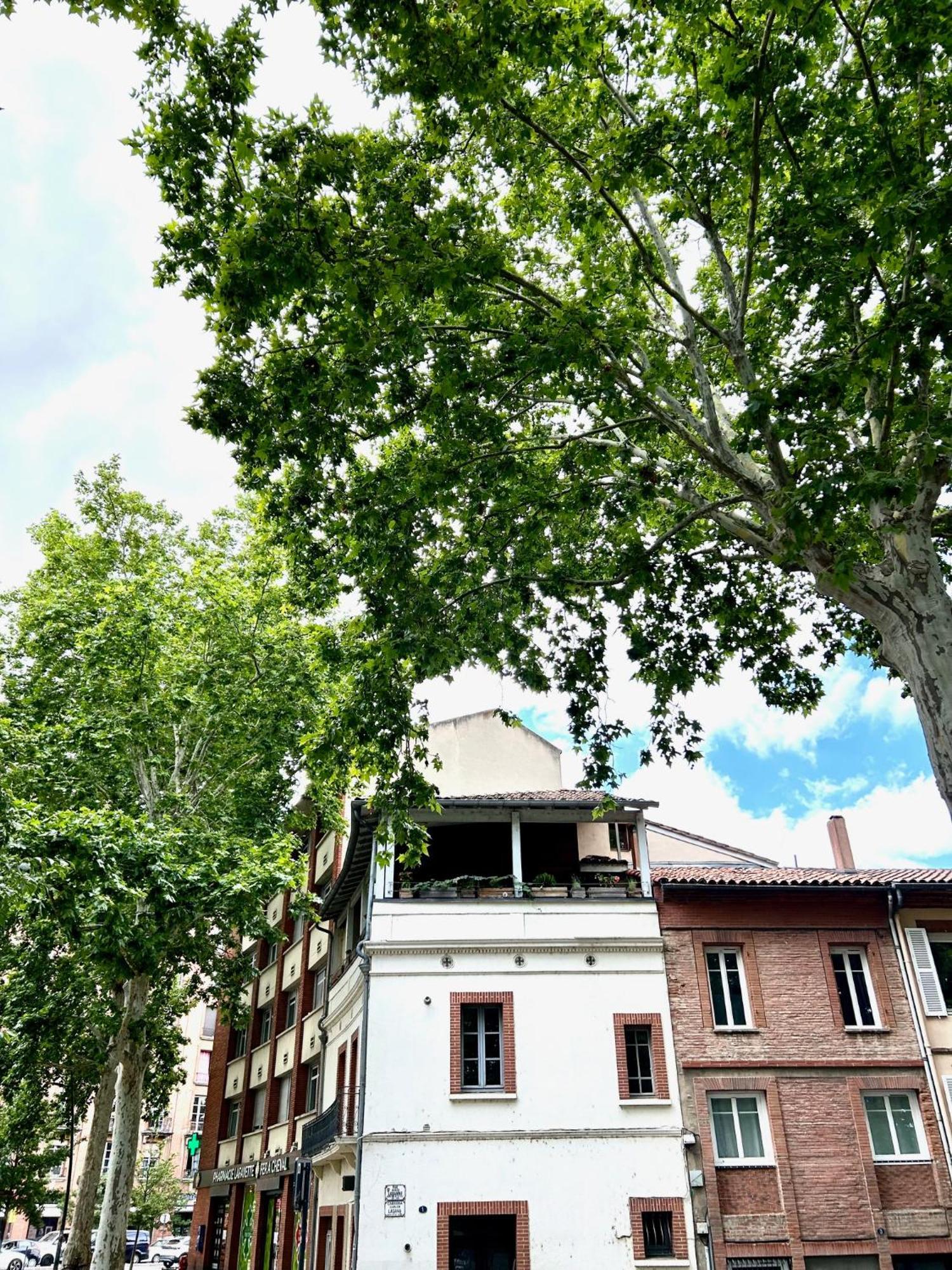 Loft Garonne - Centre Ville Immeuble Privatif ตูลูส ภายนอก รูปภาพ
